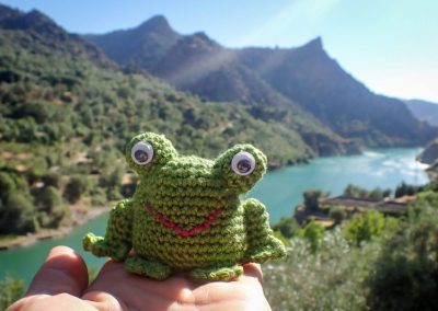 Crochet little frog