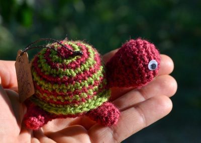 Green and red crochet tortoise