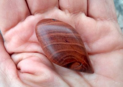 Wooden piece on the palm