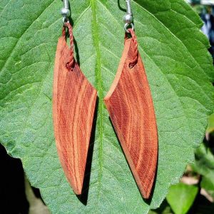 Wooden earrings wings