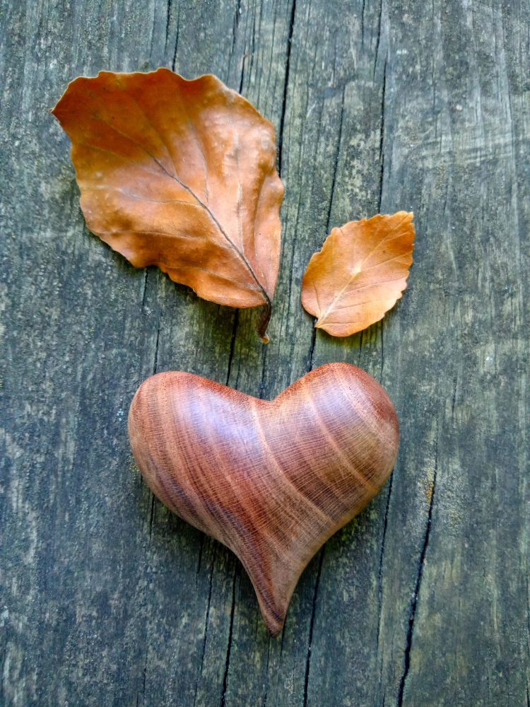 Wooden heart 1 Wooden heart with autumn leaves